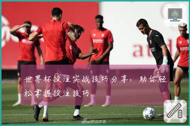 世界杯投注实战技巧分享，助你轻松掌握投注技巧