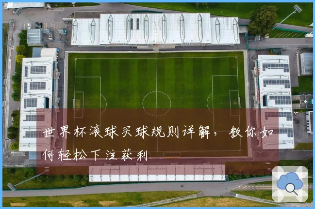 世界杯滚球买球规则详解，教你如何轻松下注获利