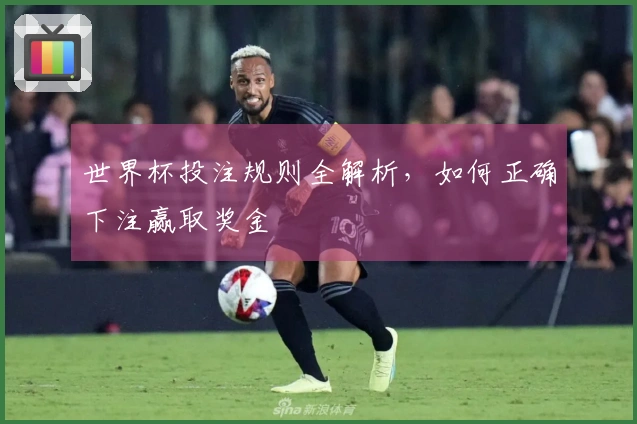 世界杯投注规则全解析，如何正确下注赢取奖金