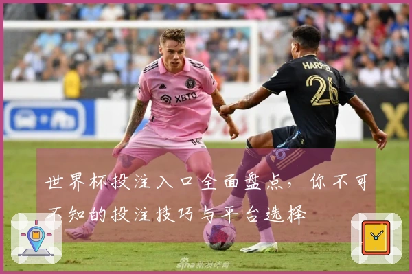 世界杯投注入口全面盘点，你不可不知的投注技巧与平台选择