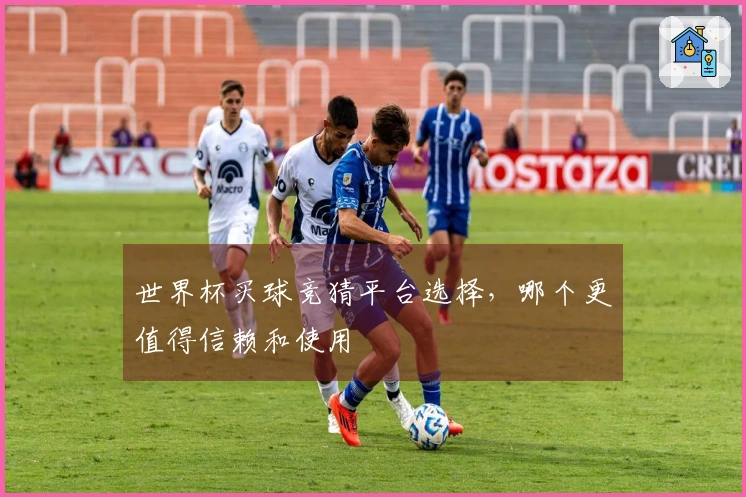 世界杯买球竞猜平台选择，哪个更值得信赖和使用