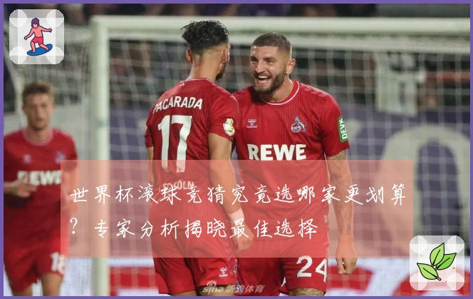世界杯滚球竞猜究竟选哪家更划算？专家分析揭晓最佳选择