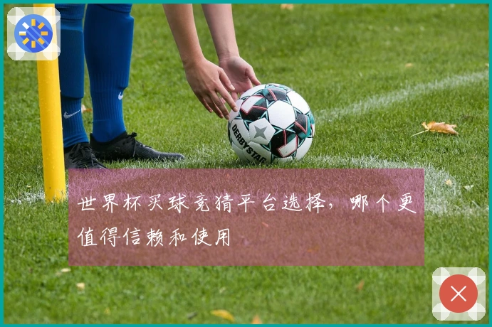 世界杯买球竞猜平台选择，哪个更值得信赖和使用