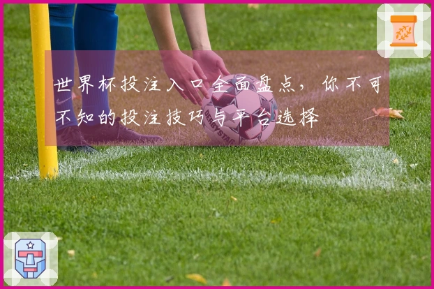 世界杯投注入口全面盘点，你不可不知的投注技巧与平台选择